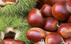 ���������ô���� ���ɹ�����ô��