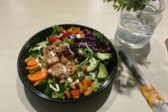 ����è���˷Ѷ���Ǯ