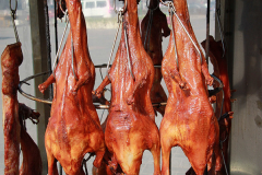 ��̼��Ѽ���˶���Ǯ