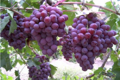 �������Ѽ��˷� ��μ���