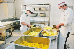 �������͹�˾��Ӫģʽ