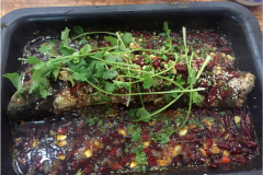 ��̫��������ô����