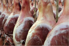 ��޻��ȼ��˷Ѽ���������