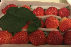 ܰƷˮ�����˷Ѽ���������