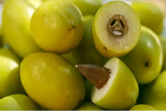 ������魼��˷Ѷ��� ���������������