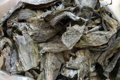 �ٳɺ������˷Ѷ���