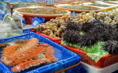 ˮ������һ����Ӫ�ն���