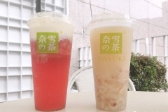 ��ѩ�Ĳ��������