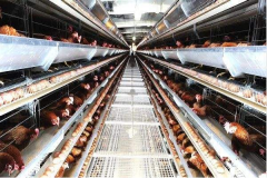 ��������ũ����ô���� ���ϼ���������������