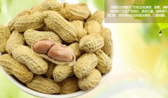 ���һ������˷��ö��� ���һ���������ô��