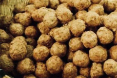 �����˻������ʼ��˷��ö��� �����˻������ʼ�����ô��