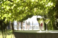 ��˾�����ѾƼ��˷��ö��� ��˾�����ѾƼ�����ô��