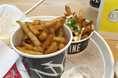 ŦԼ�������˷��ö��� ŦԼ����������ô��