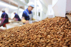 ��һ������ʳƷ�ӹ�����ô��