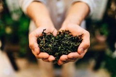 ��Ϫ�������賧����