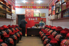 ������Ȫɢ���������