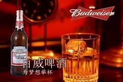 ������ơ����Ҫ����Ǯ