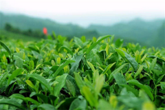 ��Դ��ҵ������֪ ��Դ��ҵ���˷Ѷ���