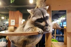 ���￧�ȵ���г�����