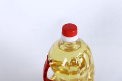 ��ʨʳ������ô��