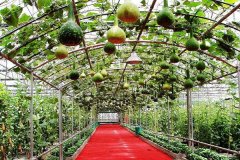 �ٹ��߲˲�ҵ���˷Ѷ���Ǯ