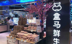 �����������˷��������