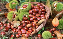 ���Ӱ������˷Ѷ���