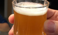 ����ơ���ĸ����˵��