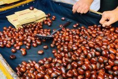 ������������˷Ѷ���Ǯ