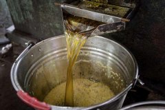 ȫ��֪��ե�ͷ����˵�����Щ