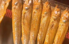 ҹè��С������˷��Ƕ��� ��Ӫ���