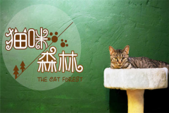 è��ɭ�ֿ��Լ����� è��ɭ�ּ��˶���Ǯ