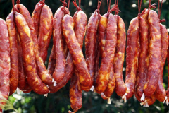 ǭ�帣��������˵绰